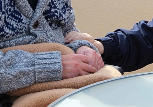 What is the main purpose of a care home?